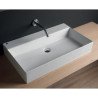 Domus Falerii Quadra Basins