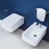 Flaminia Como Toilettes