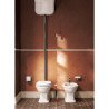 Flaminia Efi Toilettes