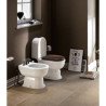 Flaminia Fidia Toilets