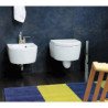 Flaminia Link Toilettes