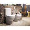 Toilettes Flaminia Quick