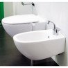 Flaminia Spin Toiletten