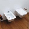 Flaminia Volo Toilets