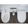 SDR Ceramiche Fox Toilets