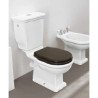 Art Ceram Hermitage Toilettes