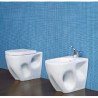 Toilettes Flaminia Void