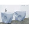 Toilettes Flaminia Void