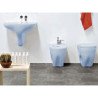 Toilettes Flaminia Void