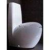 Laufen Alessi One Toilets