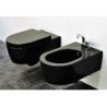 Toilettes Flaminia Mini Link
