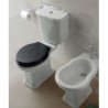 Ceramica Globo Paestum Toiletten