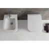 Ceramica Globo Stone Toilets