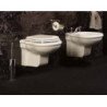 Axa Contea Traditional Toilets