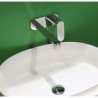Flaminia One Kranen