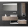Progetto Bagno Meubel