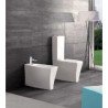 Vitruvit Ice Toilet Seats