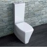 Abattants WC Vitruvit Ice