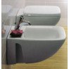 Ideal Standard Cantica Toalettstolar
