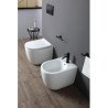 Toilettes Olympia Ceramica Tornado
