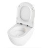 Azzurra Ceramica Comoda Toilets