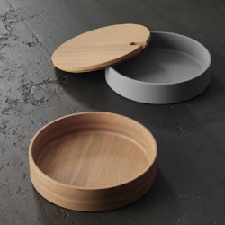 NIC Design Mediterraneo Basins