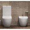 Ceramica Cielo Fluid Toiletten