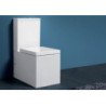 Simas Frozen Toilets