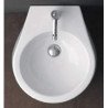 Disegno Ceramica Catino WC
