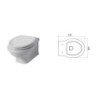 Disegno Ceramica Paolina Toilets