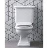 Disegno Ceramica Paolina Toaletter