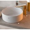 Guglielmi Gzero Basins