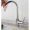 Guglielmi Oggi Kitchen Taps