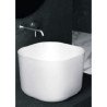 Alice Ceramica Unica Basins