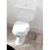 Vitruvit Old Time Traditional Toilets