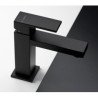 Newform Ergo Q Basin Taps