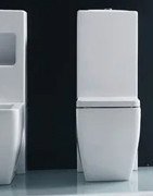 Toilettes Monoblocs
