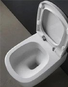 Toilettes sans rebord